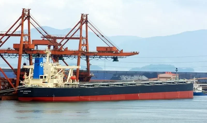 MOUNT KINABALU Bulk Carrier IMO 9337107 photo 2
