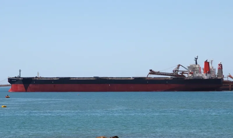 WAKASHIO Bulk Carrier IMO 9337119 photo 2