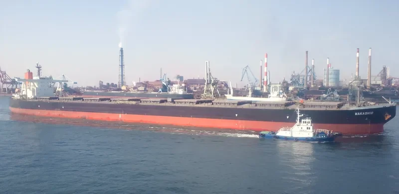 WAKASHIO Bulk Carrier IMO 9337119 photo 3