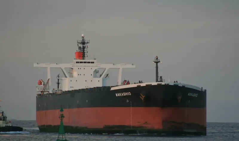 WAKASHIO Bulk Carrier IMO 9337119 photo 5