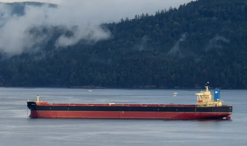WEN CHANG STAR Bulk Carrier IMO 9337145