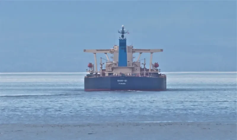 WEN CHANG STAR Bulk Carrier IMO 9337145 photo 7