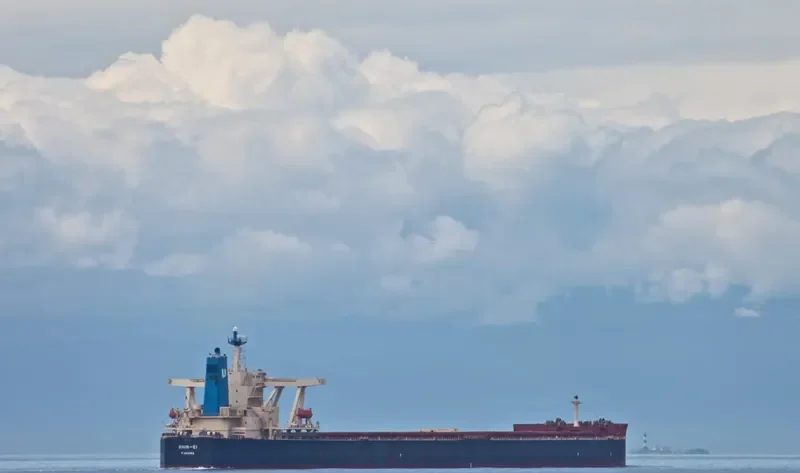 WEN CHANG STAR Bulk Carrier IMO 9337145 photo 8