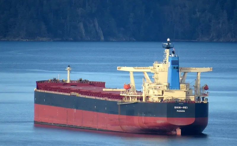 SIKAMIA Bulk Carrier IMO 9337169