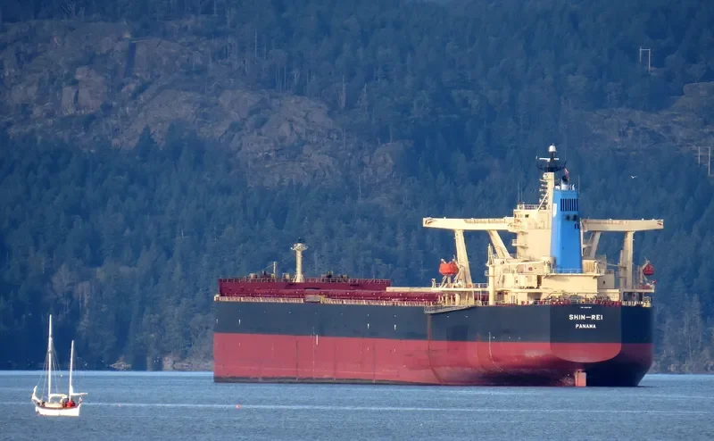 SIKAMIA Bulk Carrier IMO 9337169 photo 2
