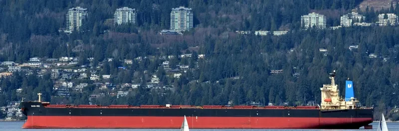 SIKAMIA Bulk Carrier IMO 9337169 photo 3