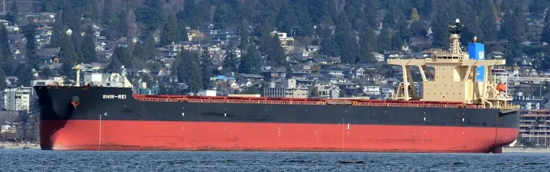 SIKAMIA Bulk Carrier IMO 9337169 photo 4
