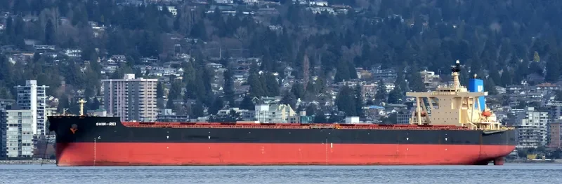 SIKAMIA Bulk Carrier IMO 9337169 photo 5