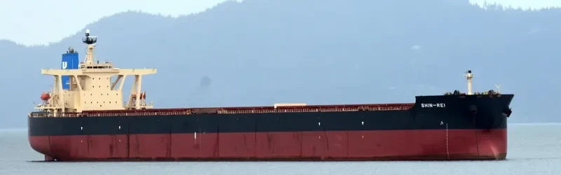 SIKAMIA Bulk Carrier IMO 9337169 photo 7