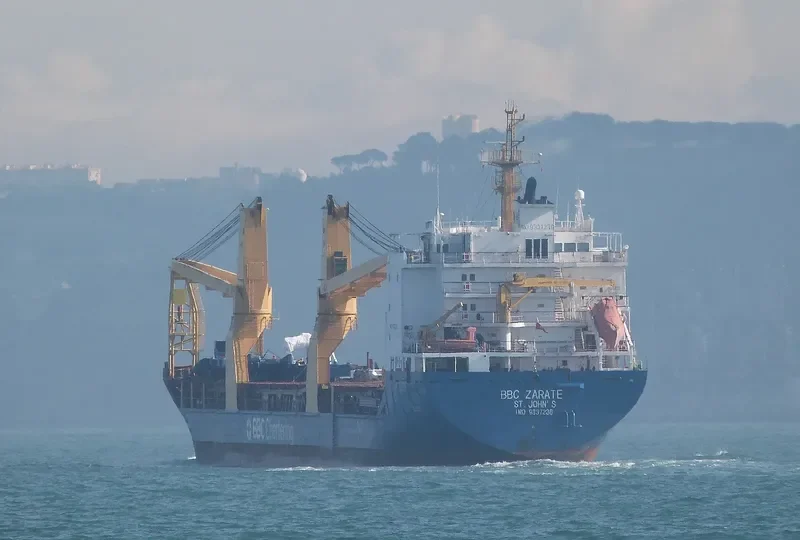 BBC ZARATE General Cargo IMO 9337236 photo 2