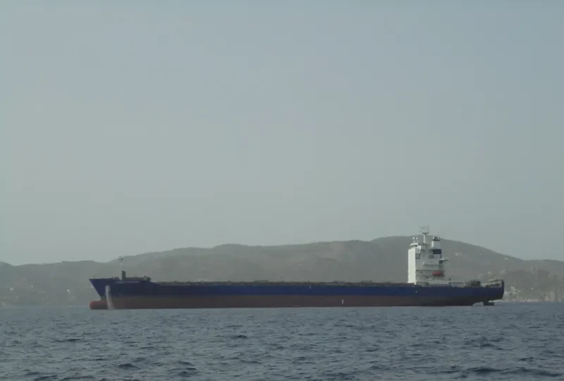 FRISIA GOTEBORG Container Ship IMO 9337250 photo 4