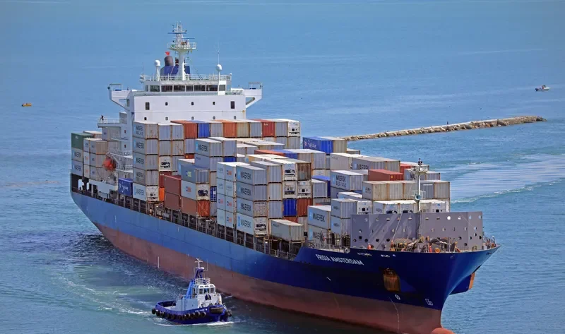 HALSTED Container Ship IMO 9337262 photo 6