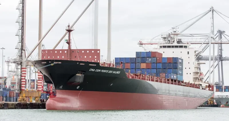 MOZART Container Ship IMO 9337274 photo 9