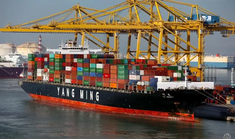 MSC UBERTY Container Ship IMO 9337444 photo 8