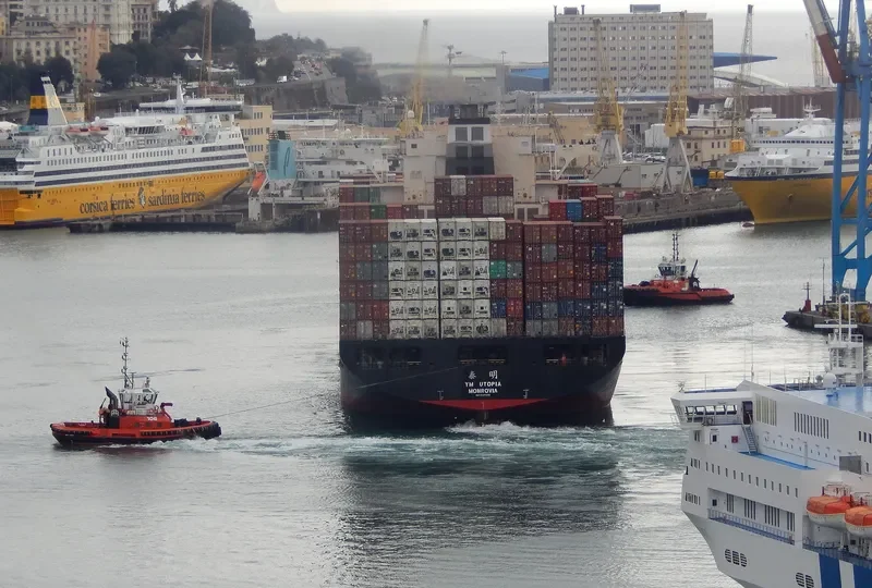 NILEDUTCH LION Container Ship IMO 9337456