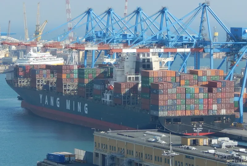 NILEDUTCH LION Container Ship IMO 9337456 photo 2