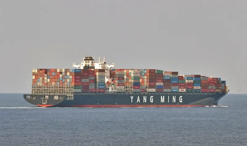 NILEDUTCH LION Container Ship IMO 9337456 photo 3