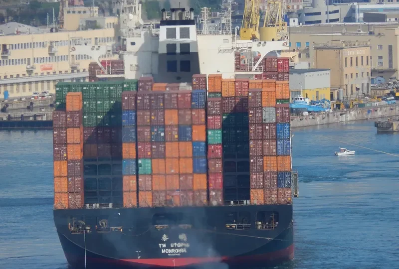 NILEDUTCH LION Container Ship IMO 9337456 photo 4