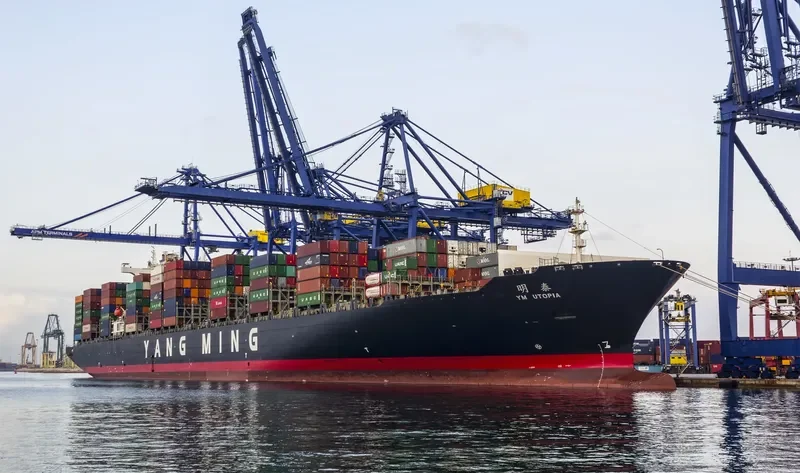 NILEDUTCH LION Container Ship IMO 9337456 photo 5