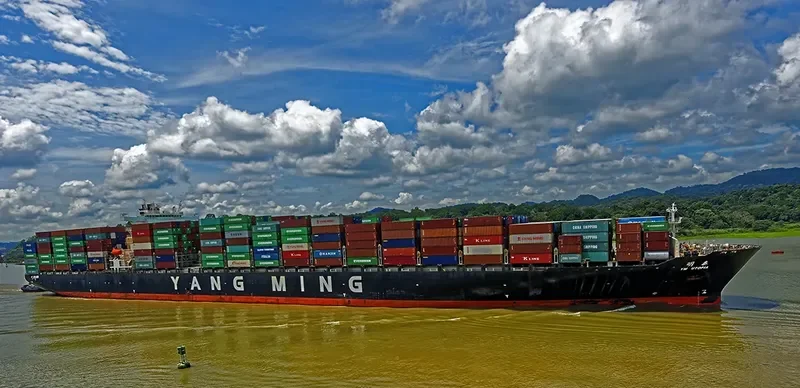 NILEDUTCH LION Container Ship IMO 9337456 photo 6