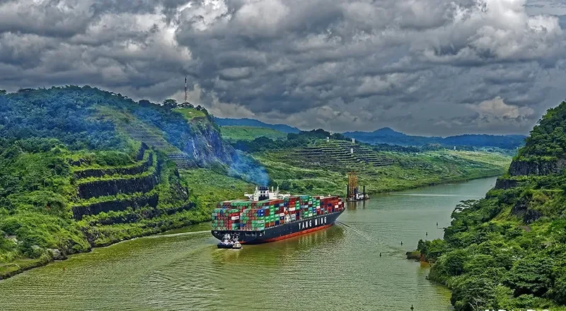 NILEDUTCH LION Container Ship IMO 9337456 photo 8