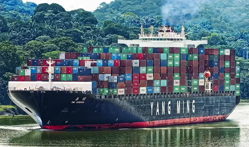 NILEDUTCH LION Container Ship IMO 9337456 photo 9