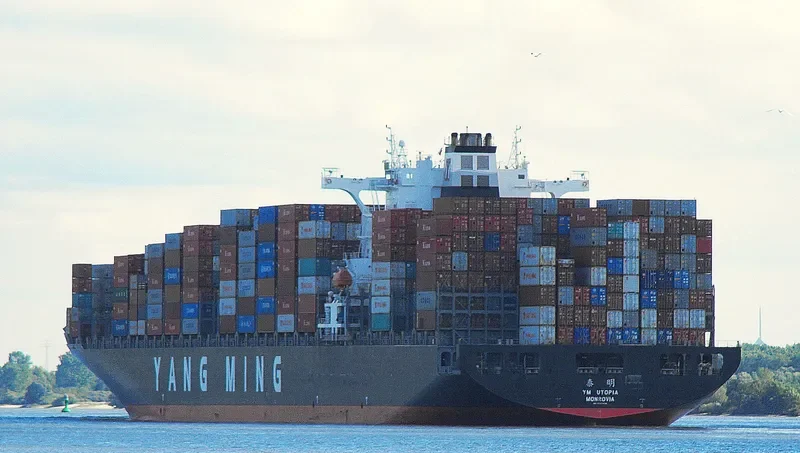 NILEDUTCH LION Container Ship IMO 9337456 photo 10