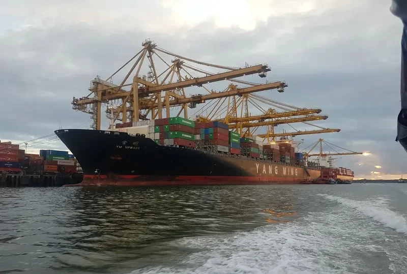 YM UPWARD Container Ship IMO 9337468
