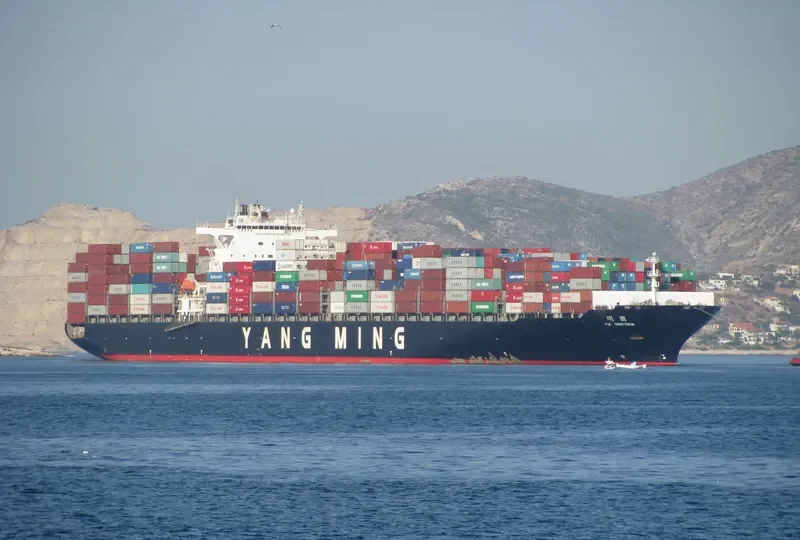 YM UNIFORM Container Ship IMO 9337482 photo 6