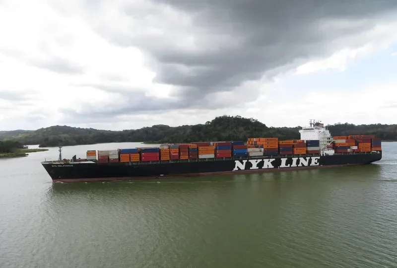 NYK DELPHINUS Container Ship IMO 9337652
