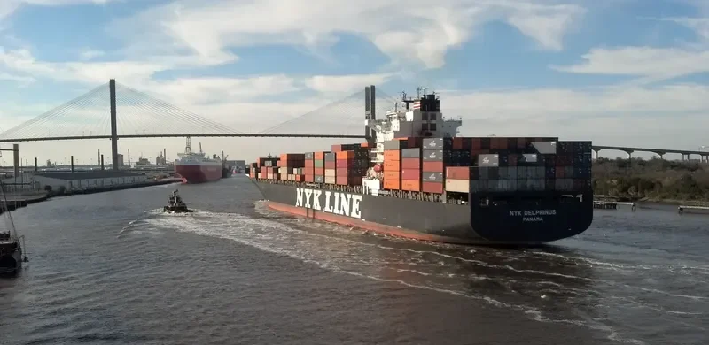 NYK DELPHINUS Container Ship IMO 9337652 photo 4