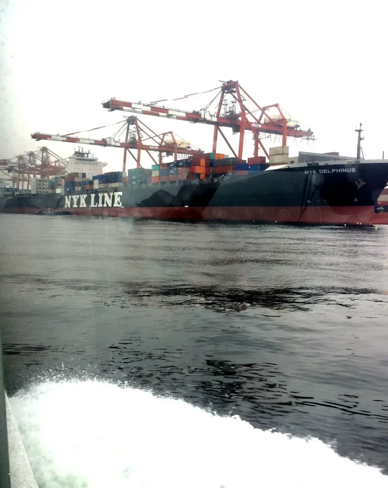 NYK DELPHINUS Container Ship IMO 9337652 photo 5