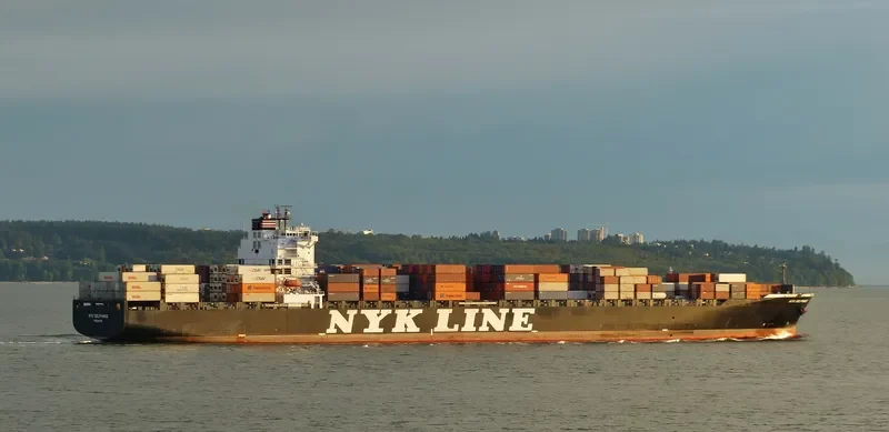 NYK DELPHINUS Container Ship IMO 9337652 photo 9