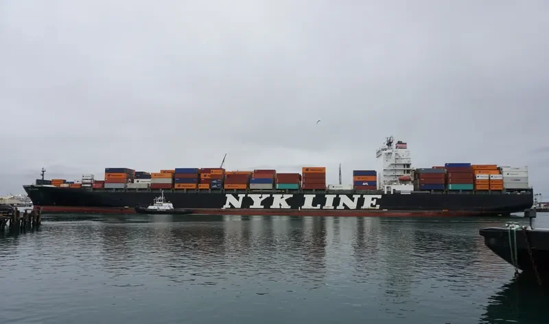 NYK DIANA Container Ship IMO 9337688 photo 4