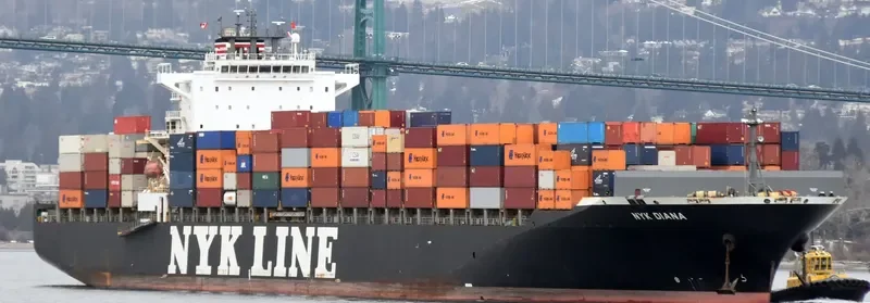 NYK DIANA Container Ship IMO 9337688 photo 7