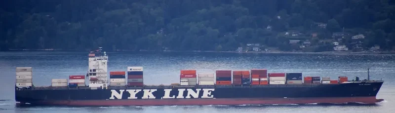 NYK DIANA Container Ship IMO 9337688 photo 10