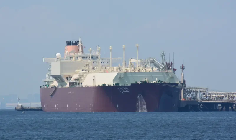 AL GATTARA General Cargo IMO 9337705 photo 7