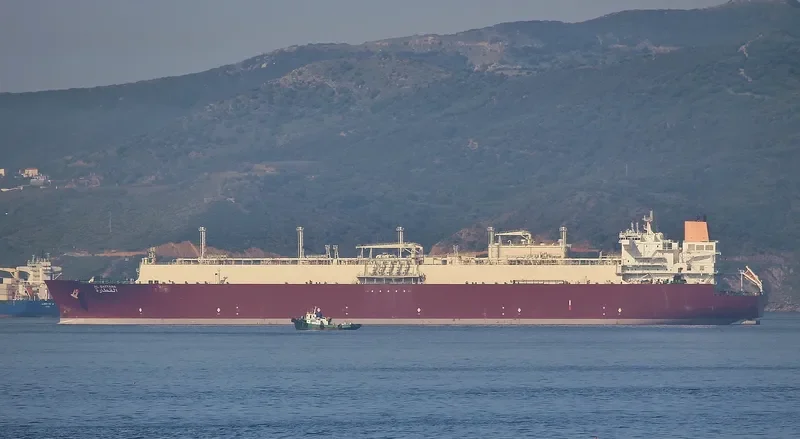 AL GATTARA General Cargo IMO 9337705 photo 9