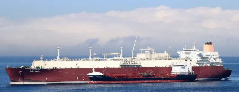 AL GHARRAFA General Cargo IMO 9337717 photo 4