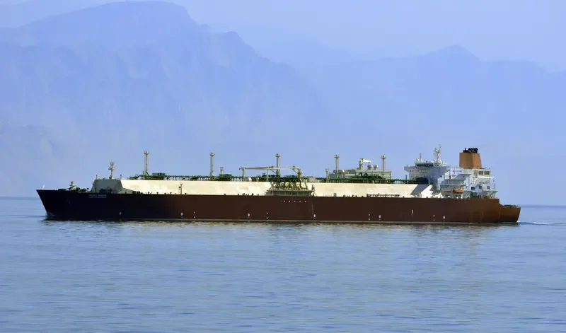 MESAIMEER General Cargo IMO 9337729 photo 2