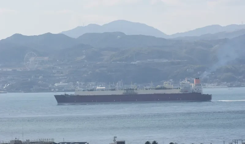MESAIMEER General Cargo IMO 9337729 photo 6