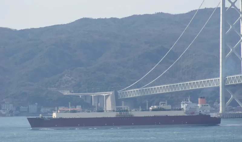 MESAIMEER General Cargo IMO 9337729 photo 7