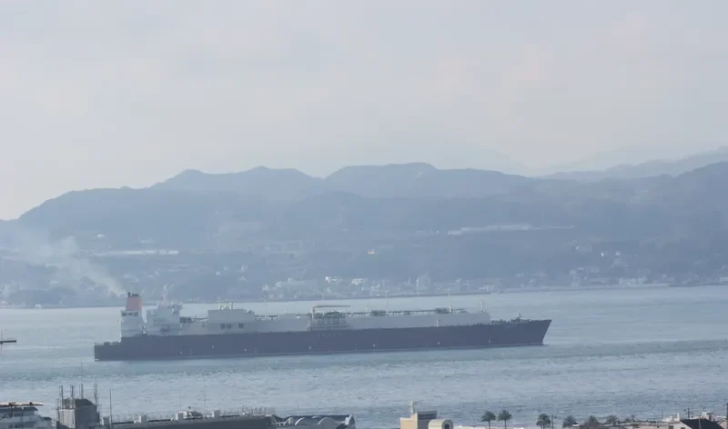 MESAIMEER General Cargo IMO 9337729 photo 8