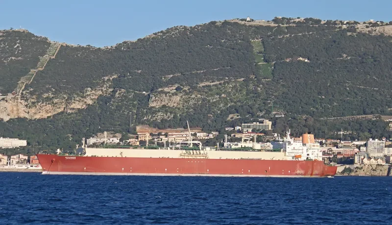 MESAIMEER General Cargo IMO 9337729 photo 9