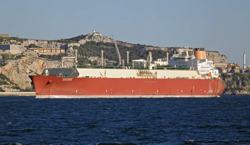 MESAIMEER General Cargo IMO 9337729 photo 10