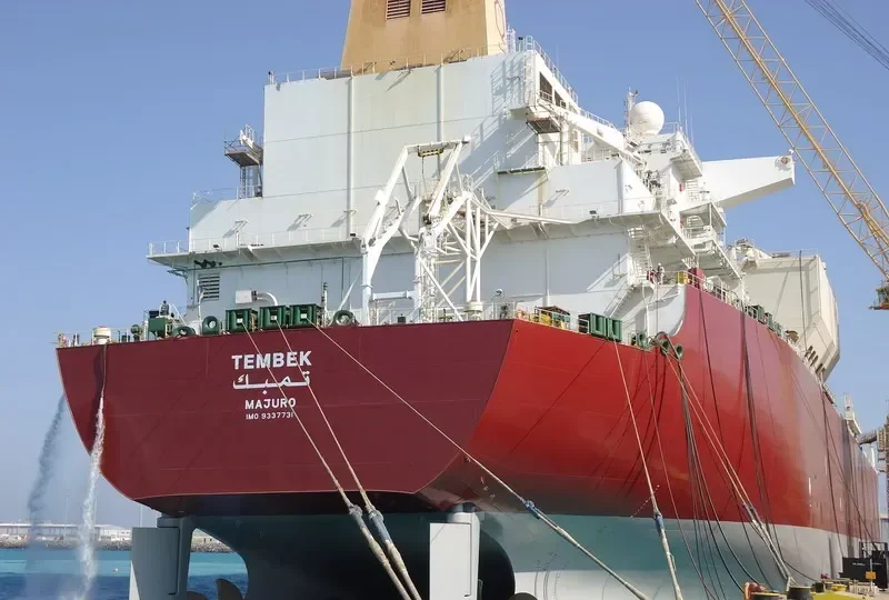 TEMBEK General Cargo IMO 9337731 photo 2