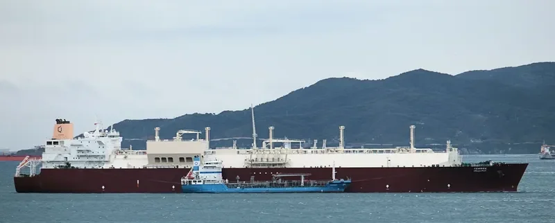 TEMBEK General Cargo IMO 9337731 photo 3