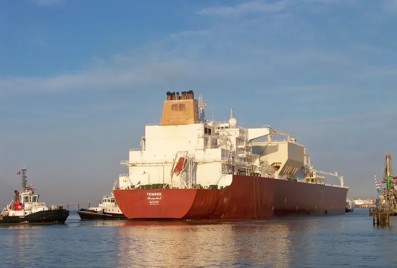 TEMBEK General Cargo IMO 9337731 photo 7