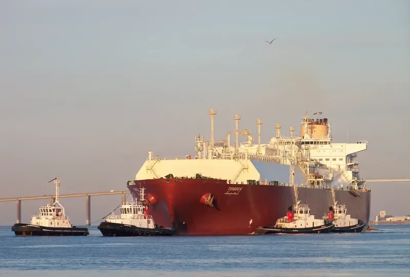 TEMBEK General Cargo IMO 9337731 photo 8