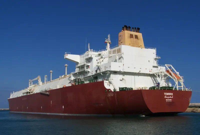 TEMBEK General Cargo IMO 9337731 photo 10